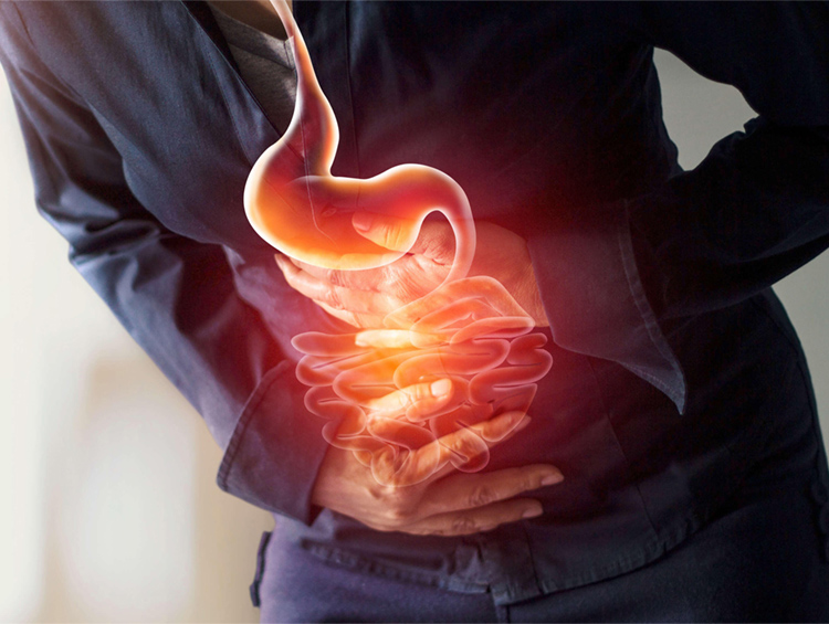 из интернета