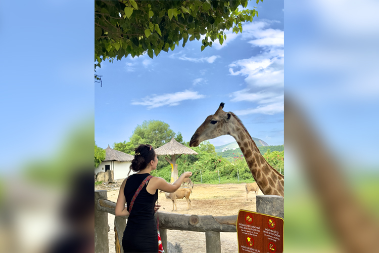 из архива собеседницы