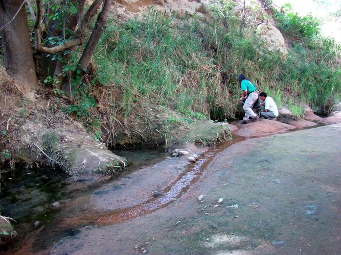 из интернета