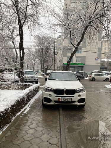 читателя 24-kg.com