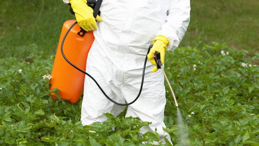 иллюстративное