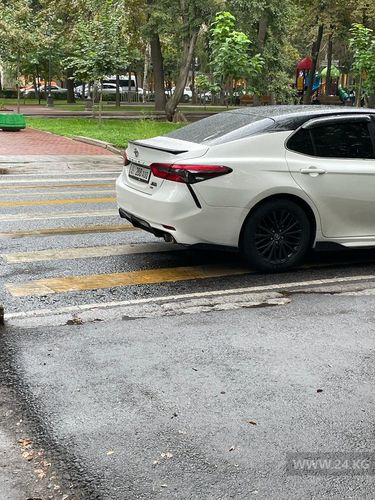 читателя 24-kg.com