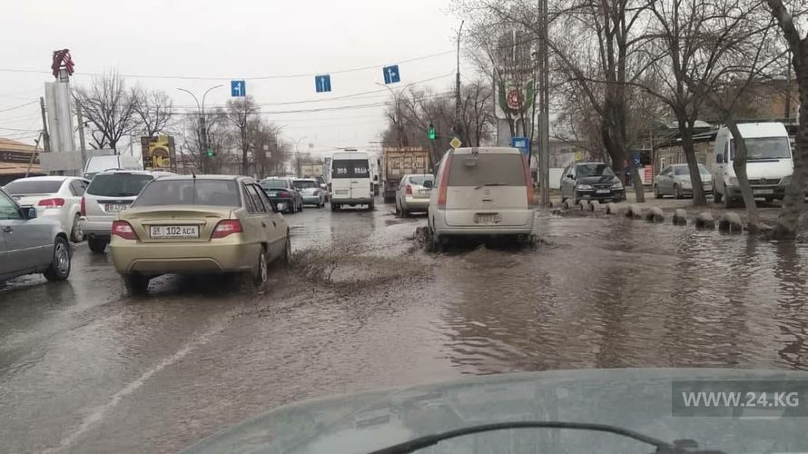 читателя 24-kg.com