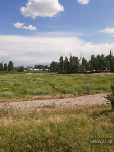 читателя 24-kg.com