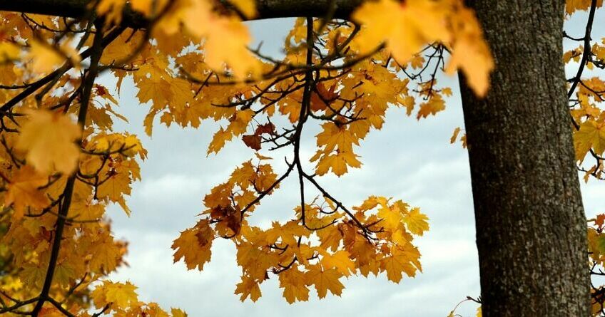 На&nbsp;этой неделе в&nbsp;Бишкеке будет солнечно. Прогноз погоды на&nbsp;27-30 ноября 