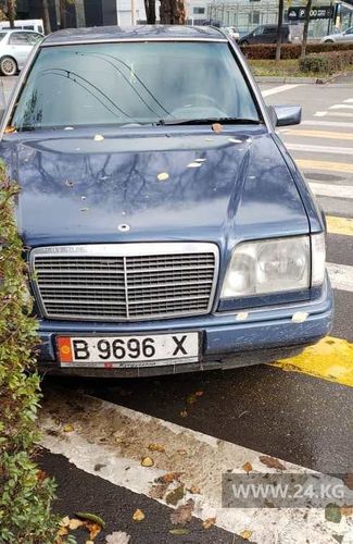 читателя 24-kg.com