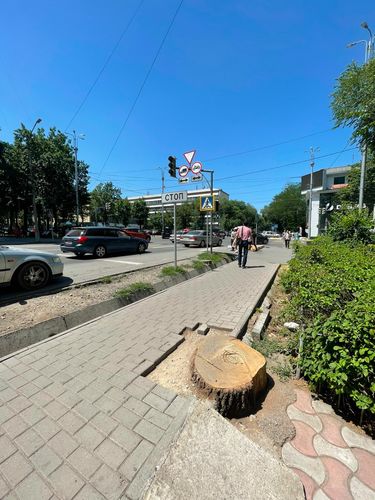 Twitter/Эрик Абдыкалыков