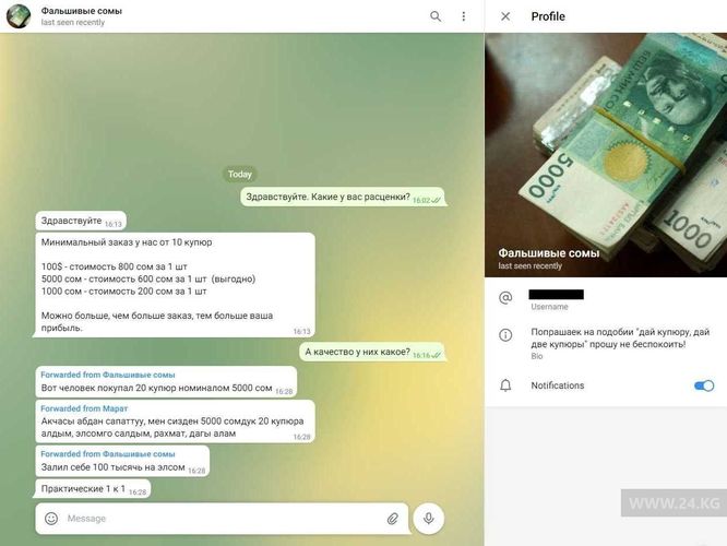 читателя 24-kg.com