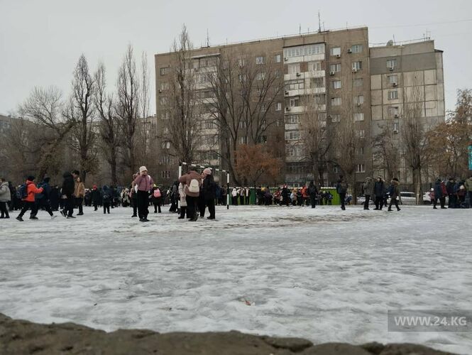 читателя 24-kg.com