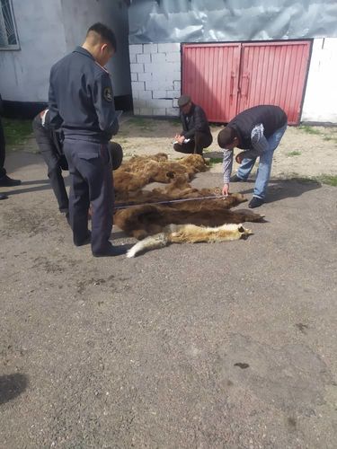 УВД Иссык-Кульской области 