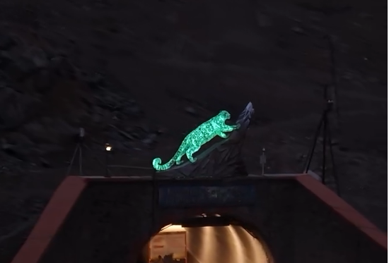 Социалдык тармактардан алынды 