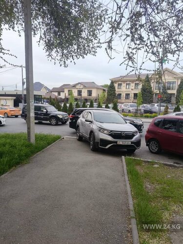 читателя 24-kg.com