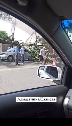 Эртая Искакова