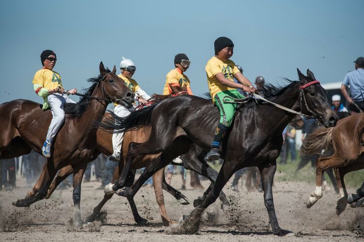 из интернета