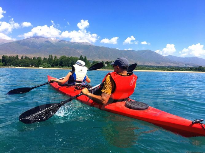 из архива Р.Томаса