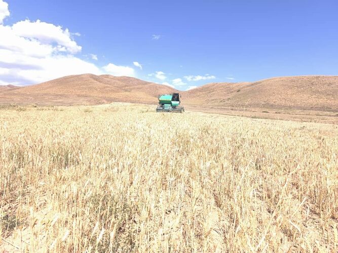 Минсельхоза