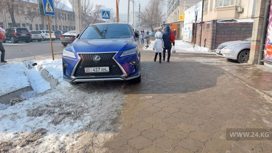 читателя 24-kg.com