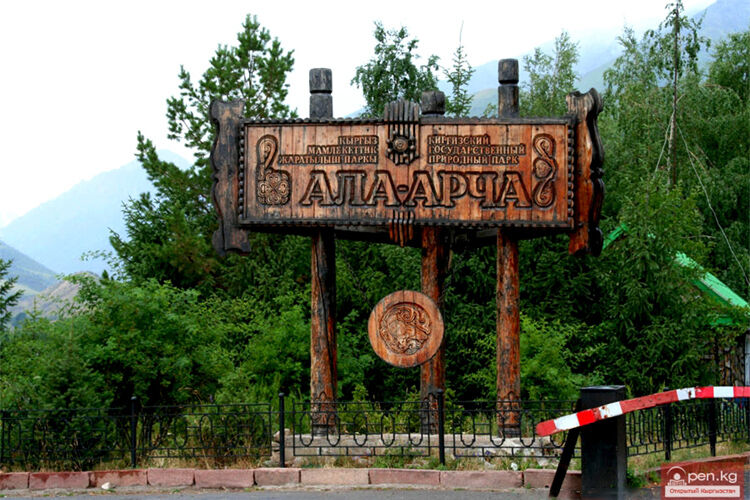 из интернета