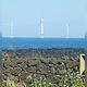 Фото 24-kg.com. Морская ветряная электростанция Халлим