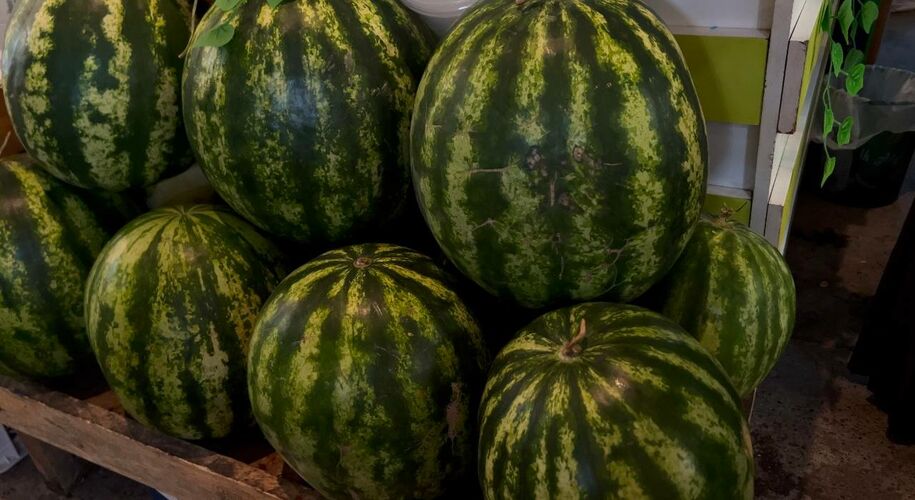 Минсельхоза