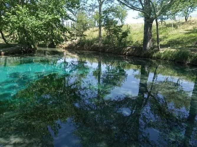 из интернета