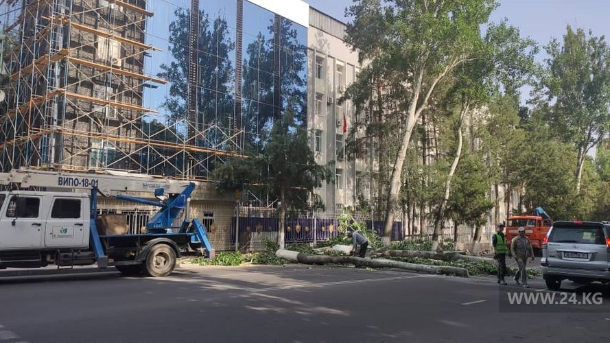 читателя 24-kg.com