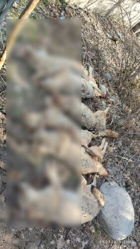 со страницы Гулбары Оморовой в Facebook