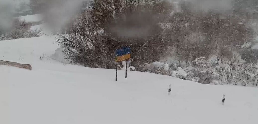 из интернета