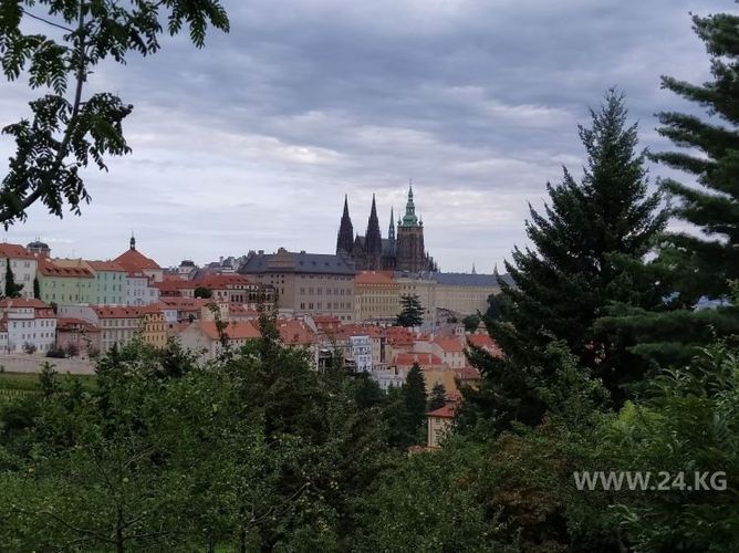 из архива Надежды Скварник