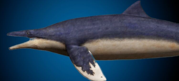 Takumi / ScienceAlert