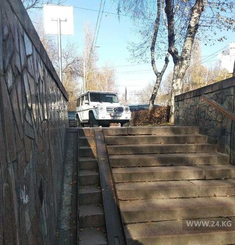 читателя 24-kg.com