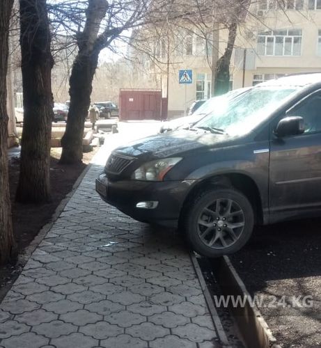 читателя 24-kg.com