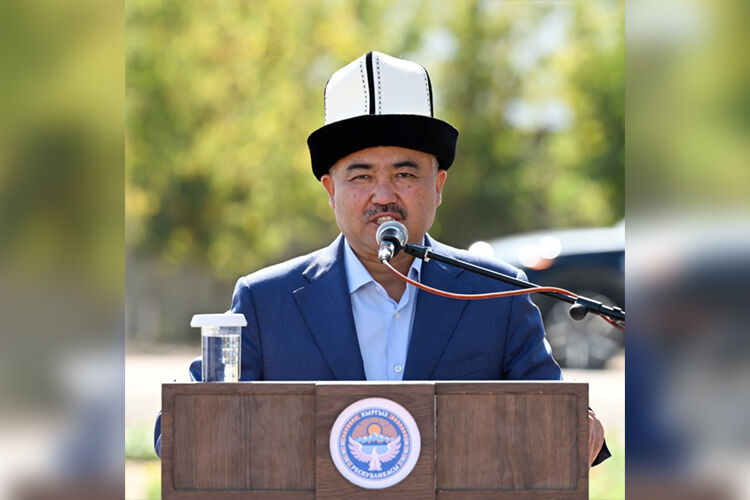 из интернета