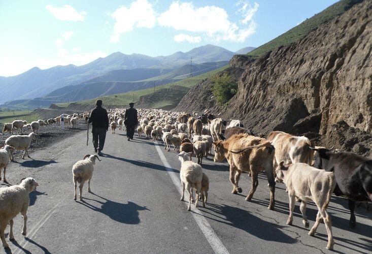 иллюстративное