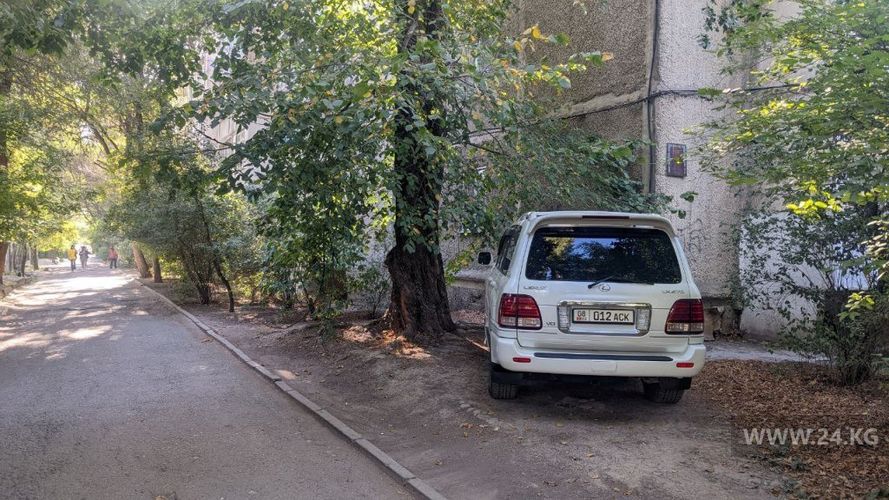 читателя 24-kg.com