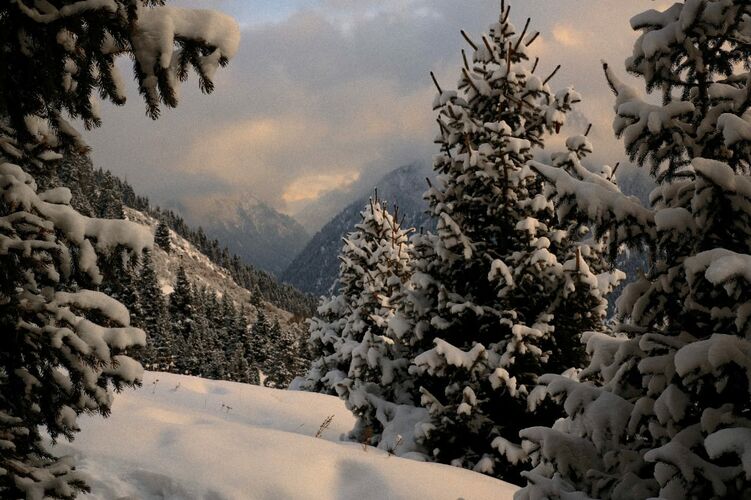 из архива собеседника