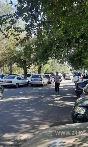 читателя 24-kg.com