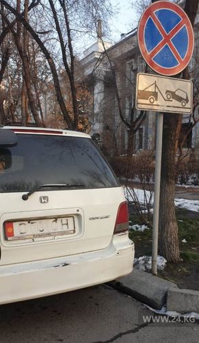 читателя 24-kg.com