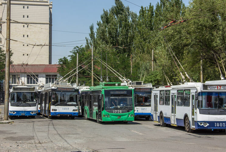 иллюстративное