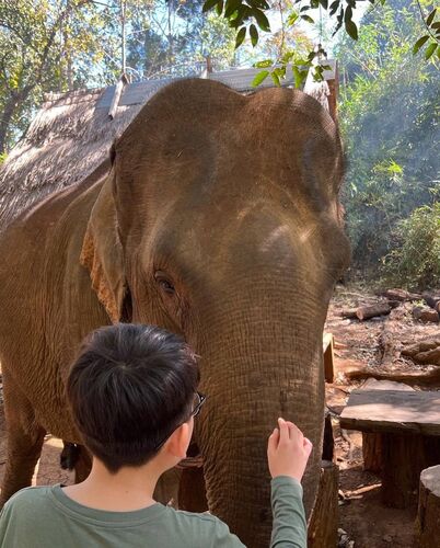 из архива Айжан Туйбаевой 