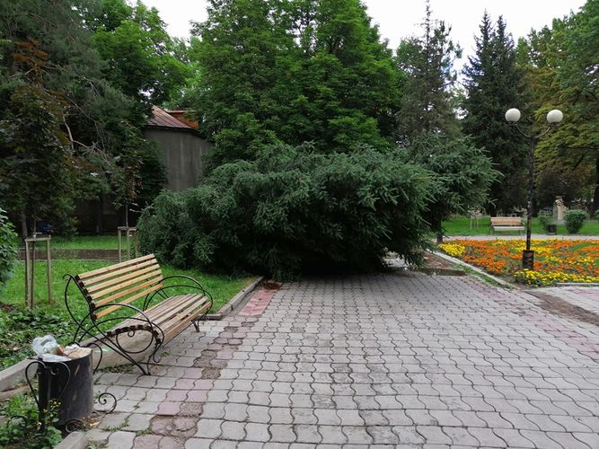 Данияра Каримова