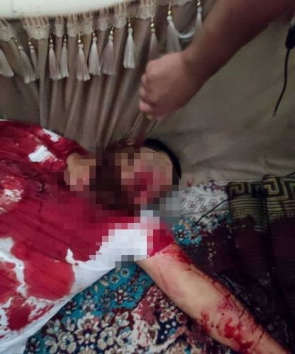 из интернета