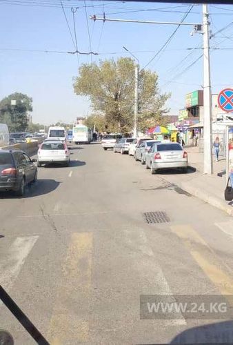 читателя 24-kg.com