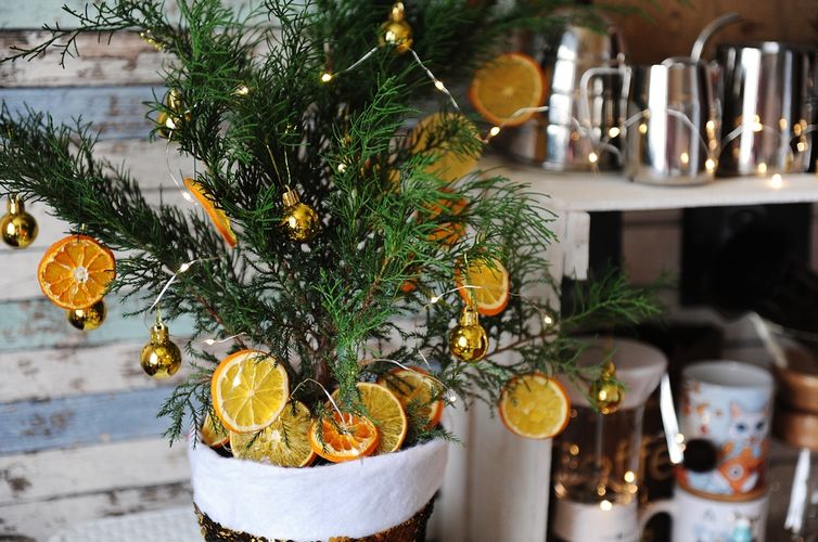 из интернета