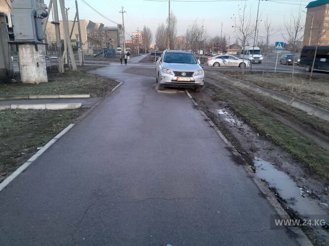 читателя 24-kg.com