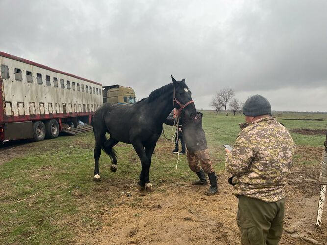 Минсельхоза