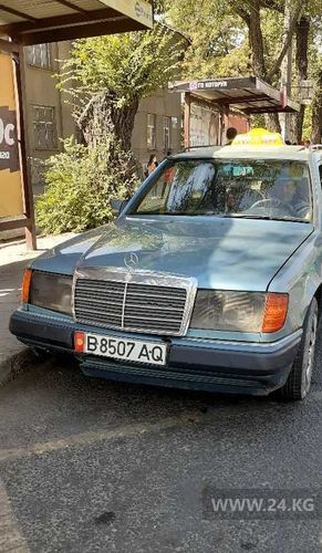 читателя 24-kg.com