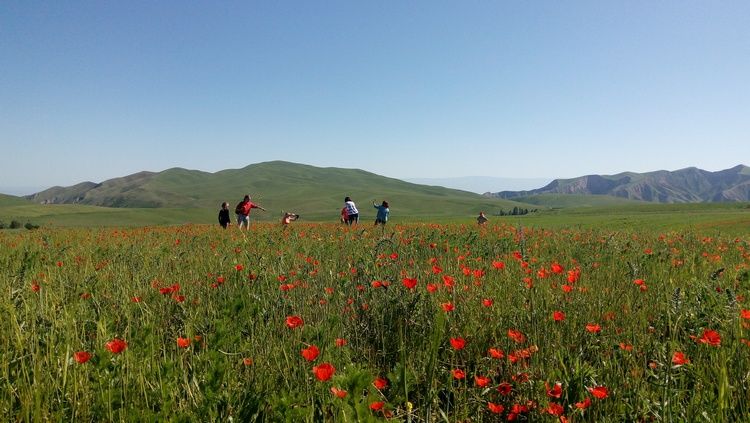 Андрея Абрамова