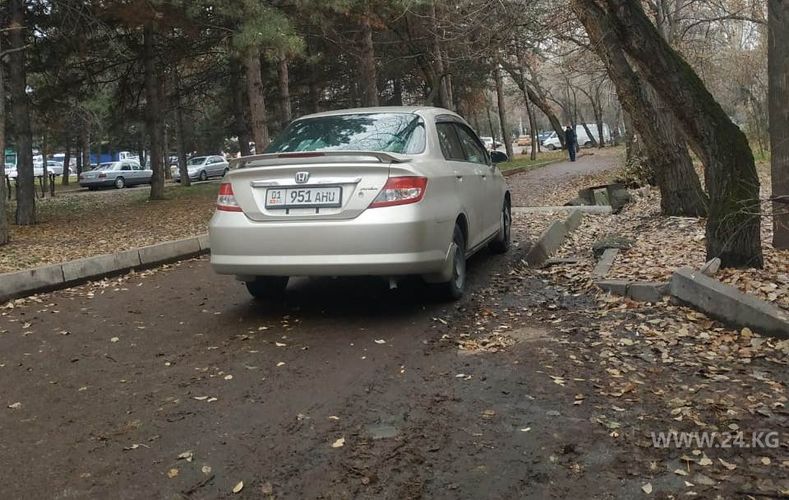 читателя 24-kg.com