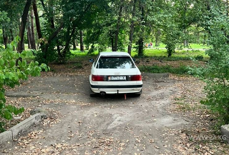 читателя 24-kg.com